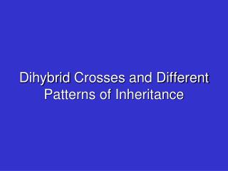 Dihybrid Crosses and Different Patterns of Inheritance