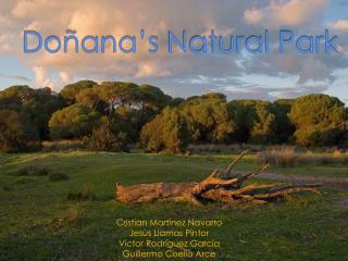 Doñana’s Natural Park