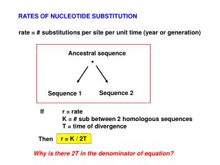 RATES OF NUCLEOTIDE SUBSTITUTION
