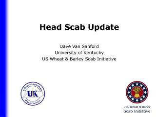 Head Scab Update