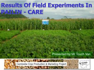 Results Of Field Experiments In PAILIN - CARE