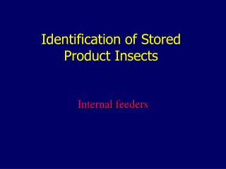 Identification of Stored Product Insects
