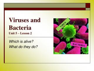 Viruses and Bacteria Unit 5 – Lesson 2