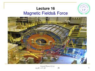 Lecture 16 Magnetic Fields&amp; Force
