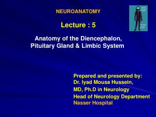 NEUROANATOMY Lecture : 5 Anatomy of the Diencephalon, Limbic System Pituitary Gland &amp;