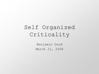 Self Organized Criticality