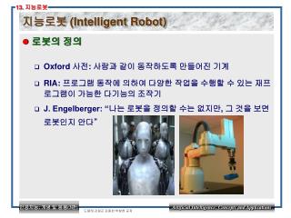 지능로봇 (Intelligent Robot)