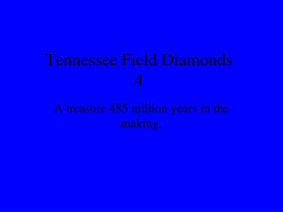 Tennessee Field Diamonds 4