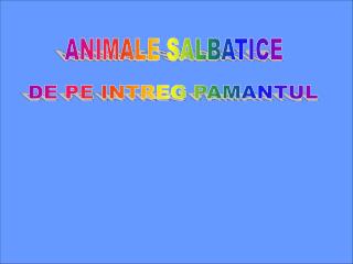 ANIMALE SALBATICE