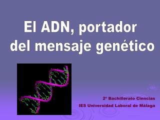 El ADN, portador del mensaje genético