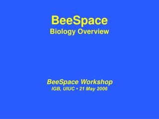 BeeSpace Biology Overview
