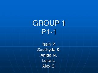 GROUP 1 P1-1