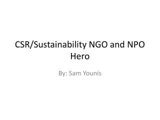 CSR/Sustainability NGO and NPO Hero