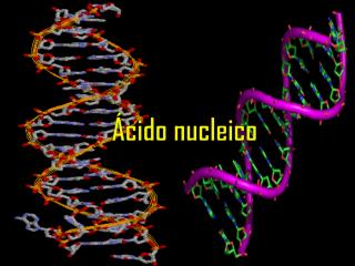 Ácido nucleico