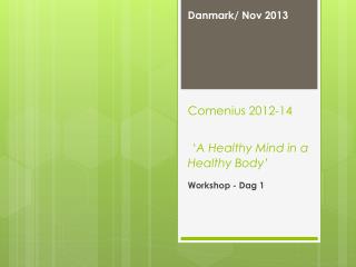 Comenius 2012-14 ‘ A Healthy Mind in a Healthy Body’