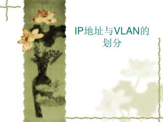 IP 地址与 VLAN 的划分