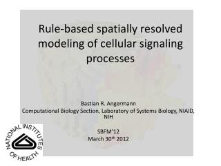 Rule-based spatially resolved modeling of cellular signaling processes