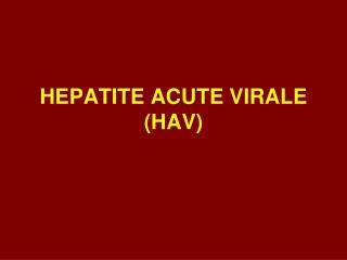 HEPATITE ACUTE VIRAL E (HAV)