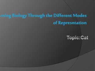 Learning Biology Through the Different Modes of Represntation