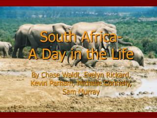 South Africa- A Day in the Life