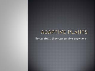 Adaptive Plants