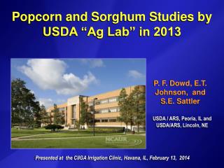 Popcorn and Sorghum Studies by USDA “Ag Lab” in 2013