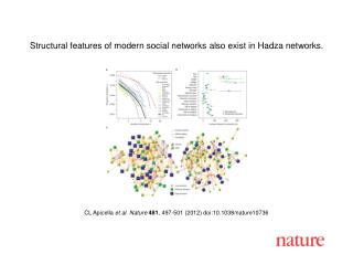 CL Apicella et al . Nature 481 , 497-501 (2012) doi:10.1038/nature10736
