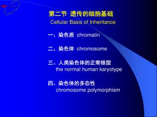 一、染色质 chromatin 二、染色体 chromosome 三、人类染色体的正常核型 the normal human karyotype 四、染色体的多态性