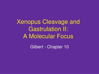 Xenopus Cleavage and Gastrulation II: A Molecular Focus