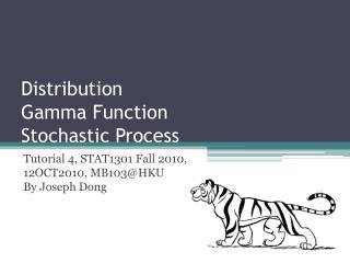 Distribution Gamma Function Stochastic Process