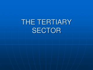 THE TERTIARY SECTOR