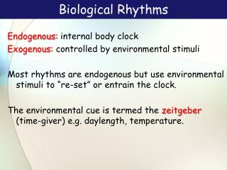 Biological Rhythms
