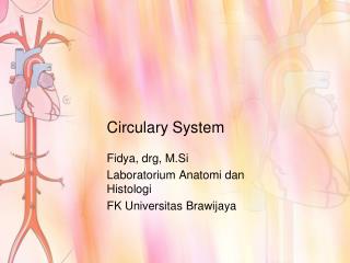Circulary System