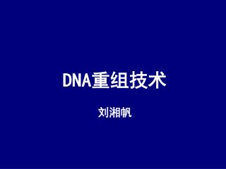 DNA 重组技术 刘湘帆