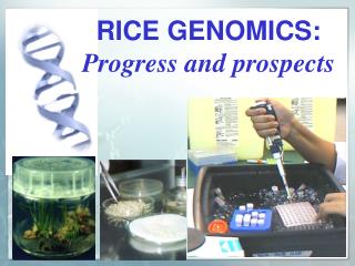 RICE GENOMICS: Progress and prospects