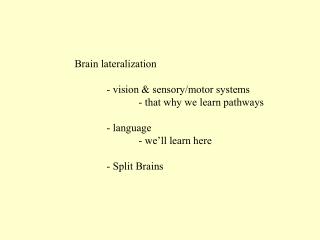 Brain lateralization 	- vision &amp; sensory/motor systems 		- that why we learn pathways 	- language