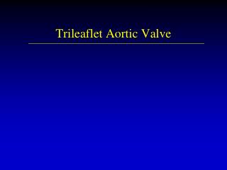 Trileaflet Aortic Valve
