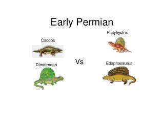 Early Permian