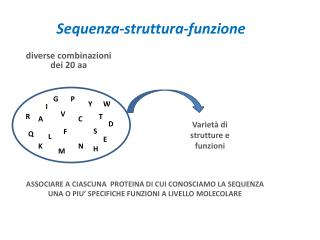 Sequenza-struttura-funzione