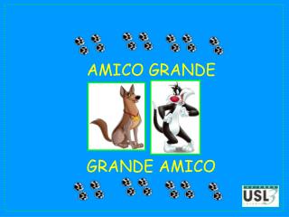 AMICO GRANDE GRANDE AMICO