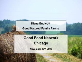 Good Food Network Chicago November 19 th , 2008