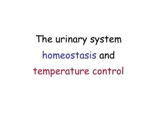 The urinary system homeostasis and temperature control