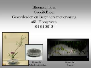 Bloemschikles Groei&amp;Bloei Gevorderden en Beginners met ervaring afd. Hoogeveen 04-04-2012