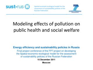 Modeling effects of pollution on public health and social welfare