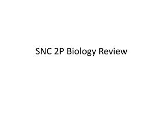 SNC 2P Biology Review