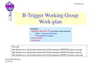 B-Trigger Working Group Work-plan