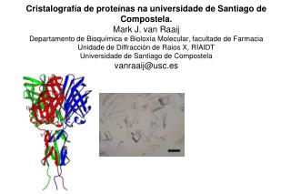 Cristalografía de proteínas na universidade de Santiago de Compostela. Mark J. van Raaij