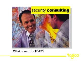 security consulting