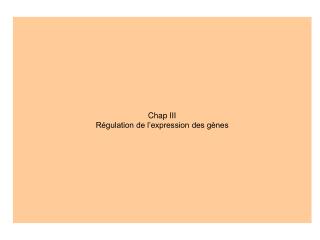 Chap III Régulation de l’expression des gènes