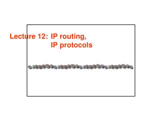 Lecture 12:	IP routing, IP protocols